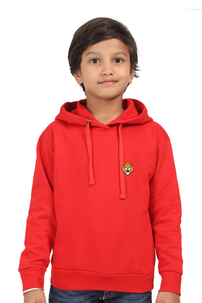 Boy’s Hoody