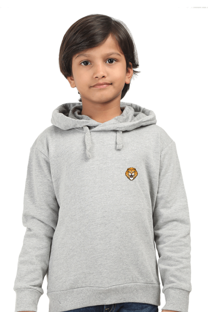 Boy’s Hoody